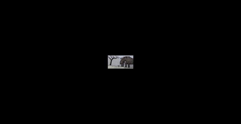 Tapir in enclosure