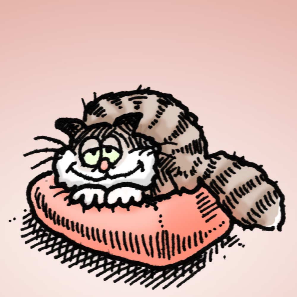cat-on-cushion